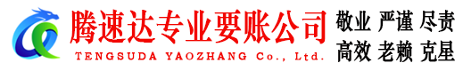 宣恩腾速达讨账公司